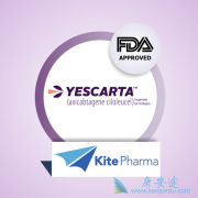 ���Ի���CAR-Tϸ�����Ʒ��������켫�䷱���Ĺ���