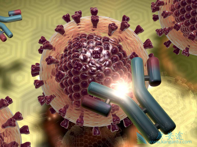 丙肝抗体阳性 丙肝抗体阳性
