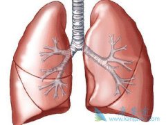 ��������ʱ��ķΰ���Ѫ���������