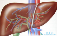 ʲô�Ǳ�������Ϊ���о��Ѷȴ�����������