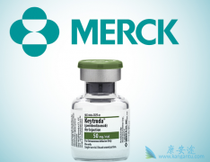 PD-1���Ƽ������ǿ����˰�֢�����Ʒ���ǿ��