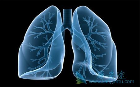 肺癌腺癌 肺癌腺癌