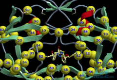 ������������ҽԺ��������Ʊ�����ʲô����