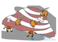 �Ҹα��濹ԭ����ĸ����α���ĸӤ����