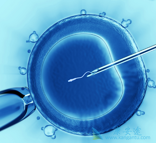 ����ҽ��