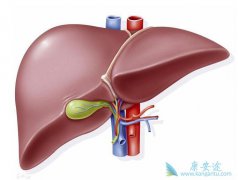 ����Ҹα��濹ԭЯ���ߵ��γ�ԭ��