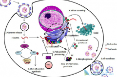 �˽������ʲô�����ܸ��õĽ�������
