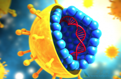 ������ʲô�����������Ǹ���ν���Ԥ��