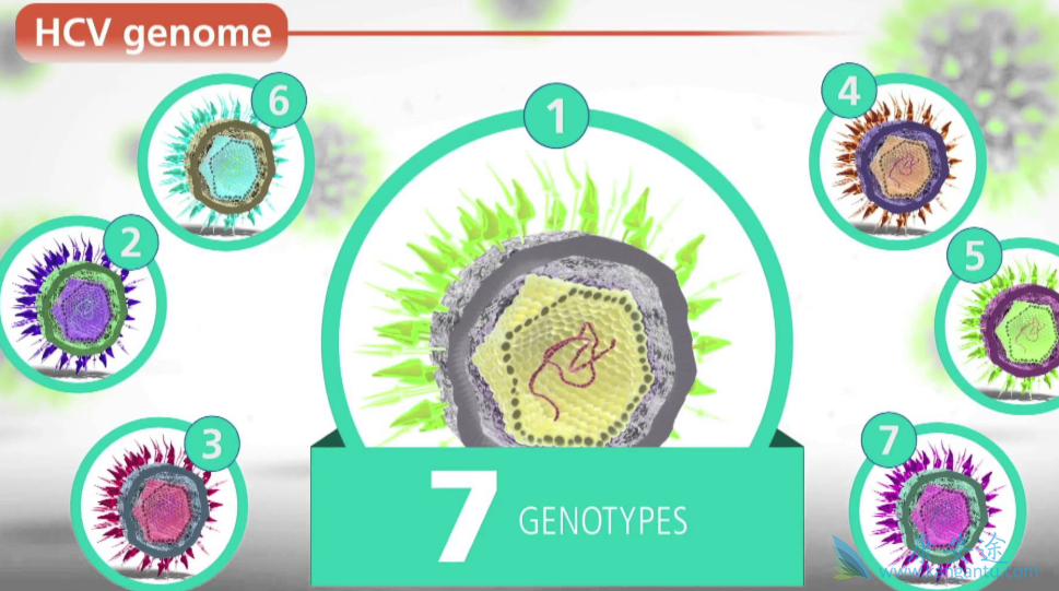 治疗丙肝医院 治疗丙肝医院