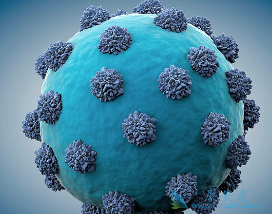 丙肝的危害 丙肝的危害