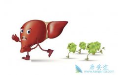 �Ҹβ���Я���߲�������֪���������