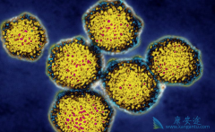 ʲô�Ǳ��ε�Σ�������Ǹ�����ȥԤ��