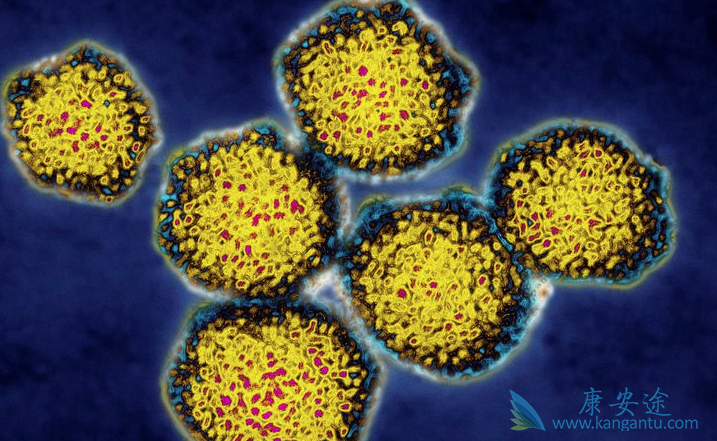 丙肝的危害 丙肝的危害
