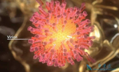 �ڹ�����б���������Ҫ����Ǯ���κ�