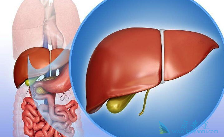 治疗丙肝的药物 治疗丙肝的药物