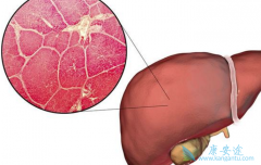 ��Ч���Ʊ��ε�ҩ�ｫ���츣��������