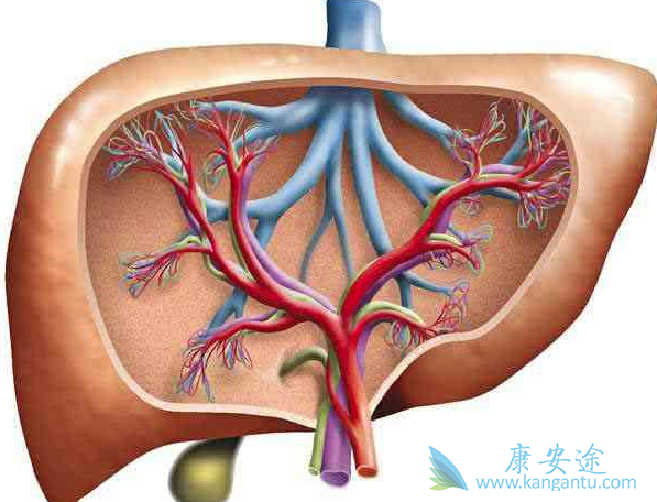治疗丙肝的药物 治疗丙肝的药物