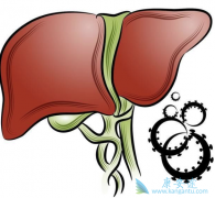 ������Ʊ����ȿ�����Щ����ҩ�﷢չ��ʷ