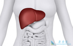 ����α��εĴ�Ⱦһ����Ӵ�����ѪҺ����Һ