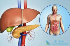 ����α��δ�Ⱦ��Ҫ֪�����εĴ�Ⱦ;��