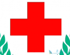 ̩��ҽ�����η�չ�벻���Ƚ���ҽ�Ƽ���