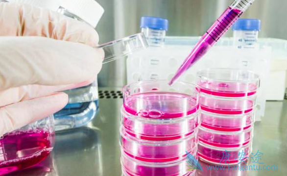 治疗丙肝最好的医院 治疗丙肝最好的医院