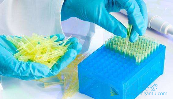 医疗旅游 医疗旅游