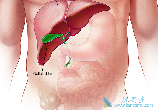 治疗丙肝要多少钱 治疗丙肝要多少钱