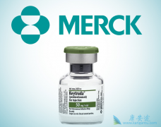 �ĸ�PD-1���Ƽ������ڹ������У�PD-1���Ƽ���ô����