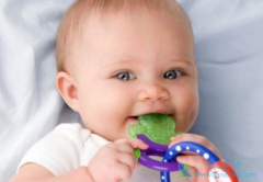 �����������������ڼ�����Щ���Ʊ���ҩ��