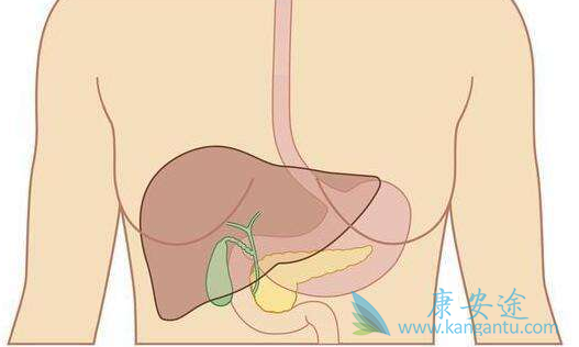 丙肝能彻底治好吗 丙肝能彻底治好吗