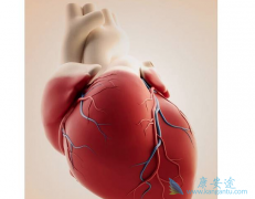 ���Ʊ��ι��������ѡ�����������Ʒ���