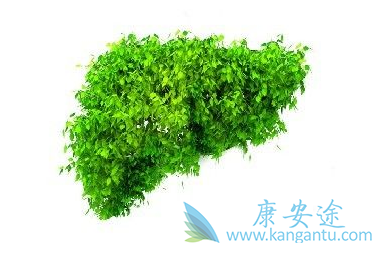 乙肝抗病毒治疗 乙肝抗病毒治疗