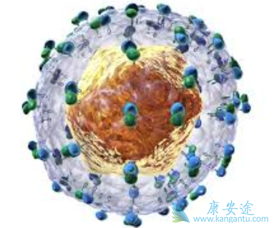 ��������Щ֢״