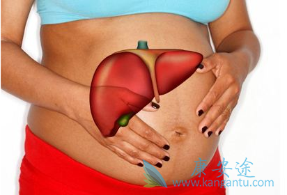 乙肝携带者 乙肝携带者