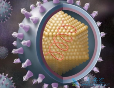 ������ҩ�ڼ������ô���Ʋ���Ч��