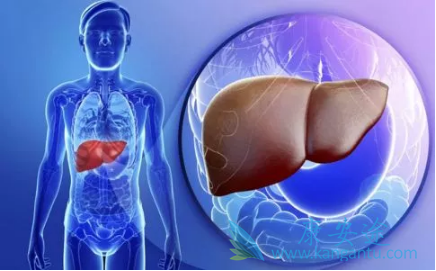 乙肝大三阳能治愈吗 乙肝大三阳能治愈吗