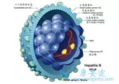 ���ÿ��������Ҹλ���Ҳ��Ҫ�����Ҹμ��