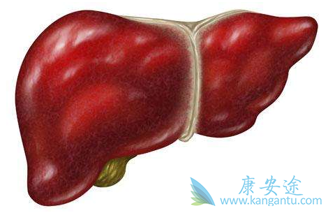 乙肝检查 乙肝检查