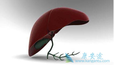 乙肝早期症状 乙肝早期症状