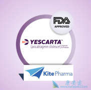 ��β���ʹ��ŵ�����µ�CAR-Tϸ�����Ʒ���KYMRIAH���ƣ�