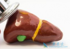 ���ο��������ǻ�����?�������Ʒ�������Щ?