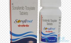�ΰ����ڲ����������ᣨSORAFENIB�����κ���