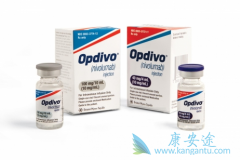 PD-1���Ƽ����䵥����Opdivo�����Ƹΰ�Ч����ô����