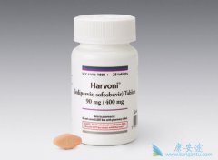 ��������ŷ����������Ʊ��θ�����ĶԱ�