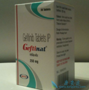 ����ж�ӡ������ɳ�ڻ���������Ч��