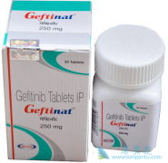 ����ɳ��GEFINAT�������ڶ�ͯ�ΰ�������