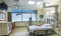 ��ҩ���й����ǳ���������������Խ��Խ���һ��ԭ��