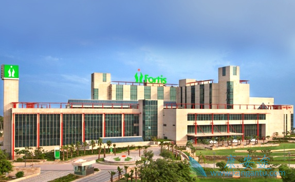 医疗旅游 医疗旅游