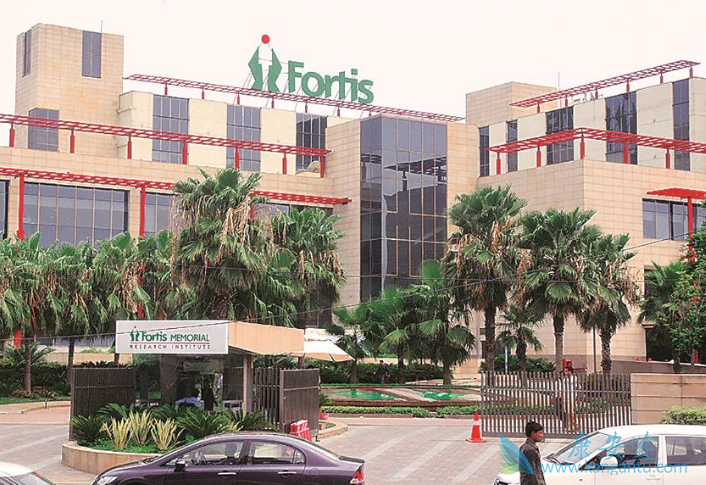 ҽ������